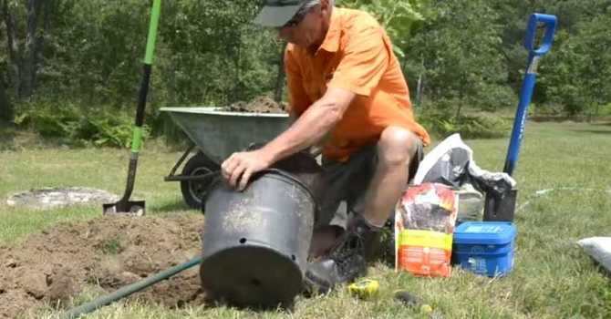 HOW TO PLANT A TREE