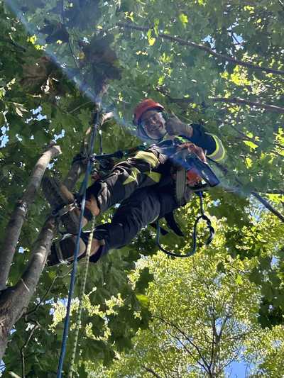 Cameron, Certified Arborist at Baltimore Valley