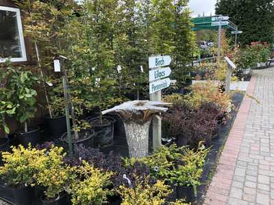 The grounds at Baltimore Valley Garden Centre alongside Baltimore Creek