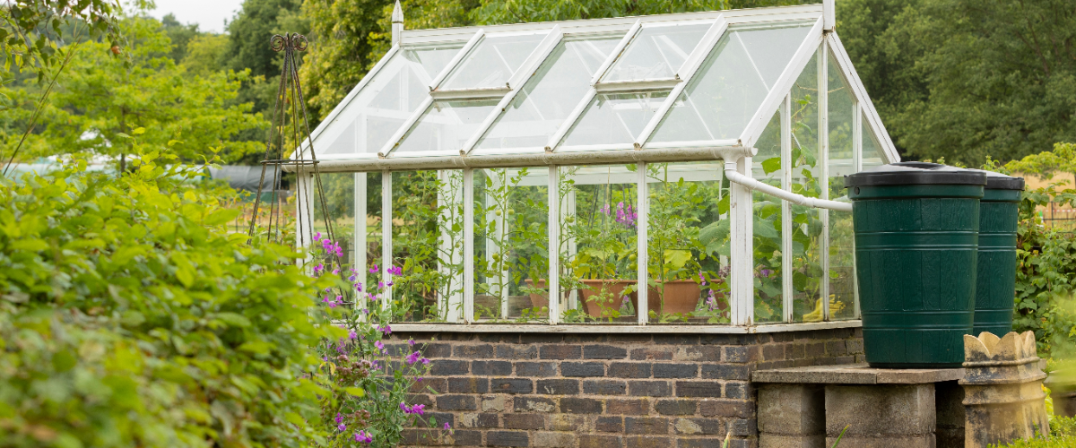 Sustainable kitchen garden ideas Sustainable kitchen garden ideas