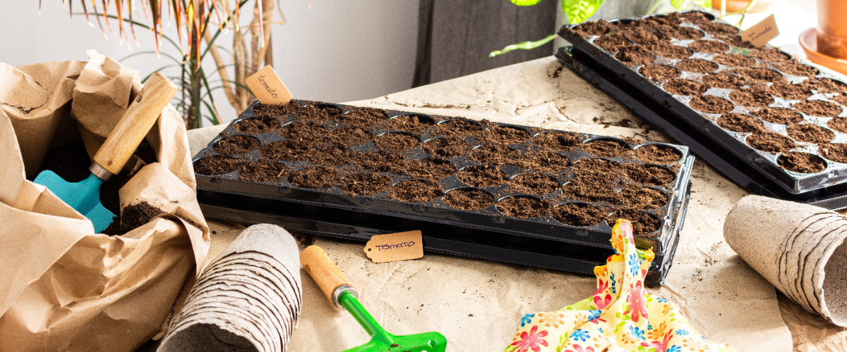 15 gardening tips for April 15 gardening tips for April