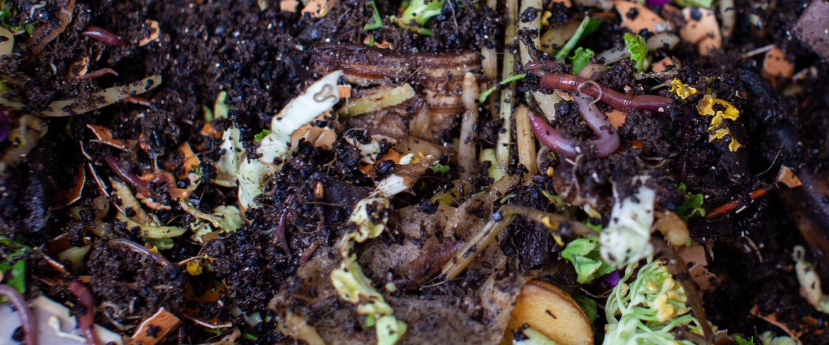 Brown and green material to make compost Brown and green material to make compost