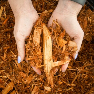 Cedar mulch from Lacoste Garden Centre