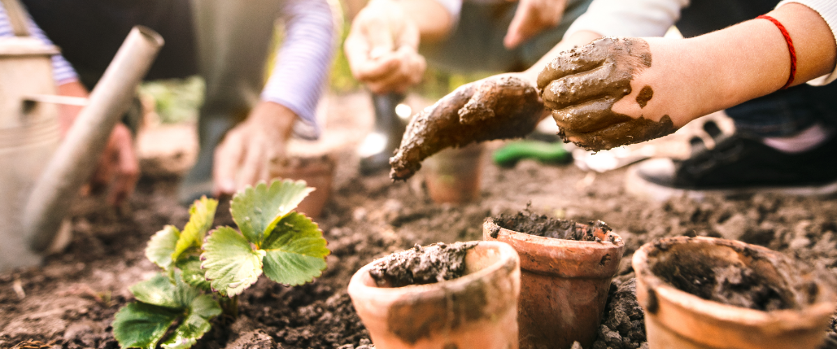 Five tips to get kids gardening Five tips to get kids gardening