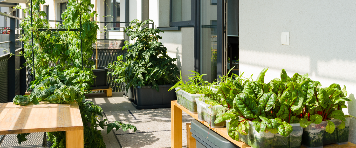 Vertical balcony garden Vertical balcony garden