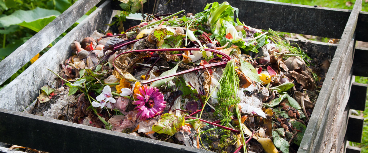 Composting Composting