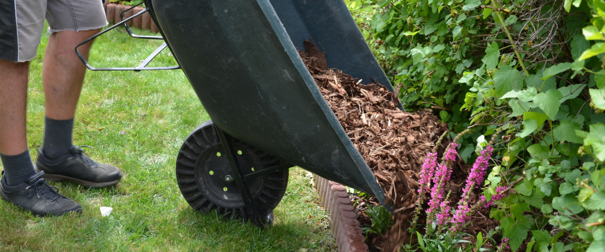 Why mulching helps Why mulching helps