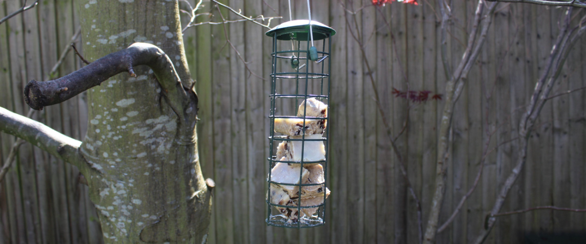 Suet balls - Garden birds