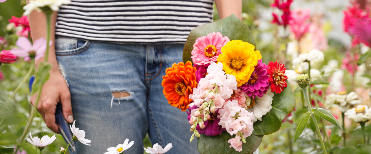 Create a cut flower garden, even if you have a small space! Create a cut flower garden, even if you have a small space!