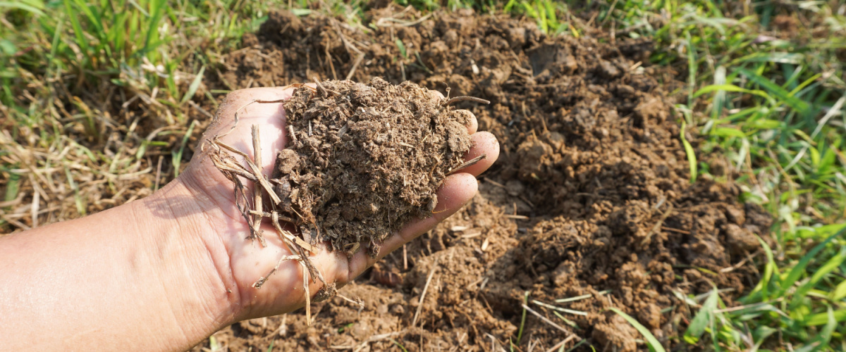Make your own compost Make your own compost