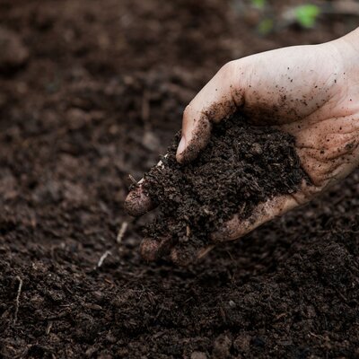 Bulk Soil Delivery