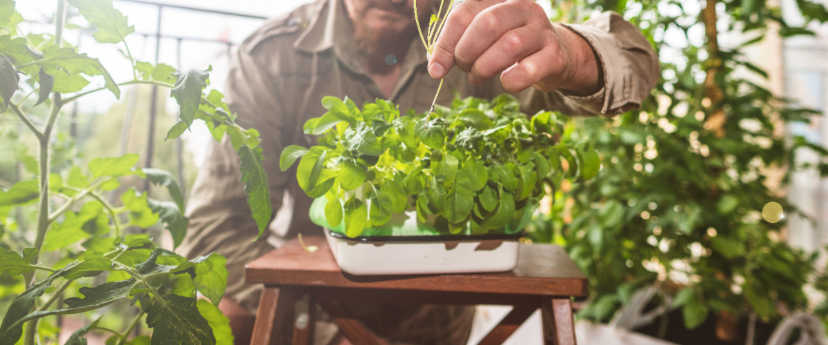 Sustainable kitchen garden ideas Sustainable kitchen garden ideas