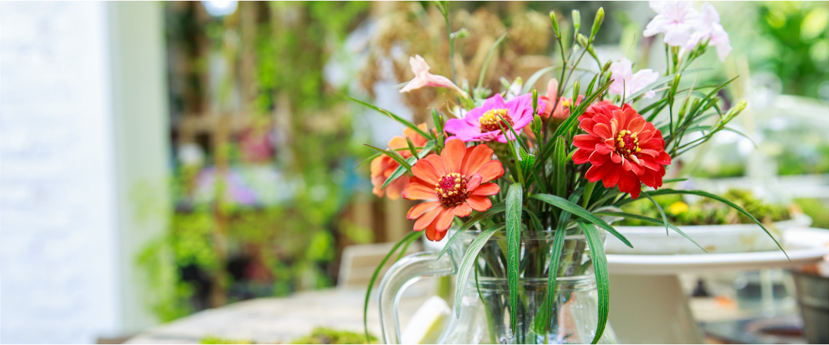 Create a cut flower garden, even if you have a small space! Create a cut flower garden, even if you have a small space!