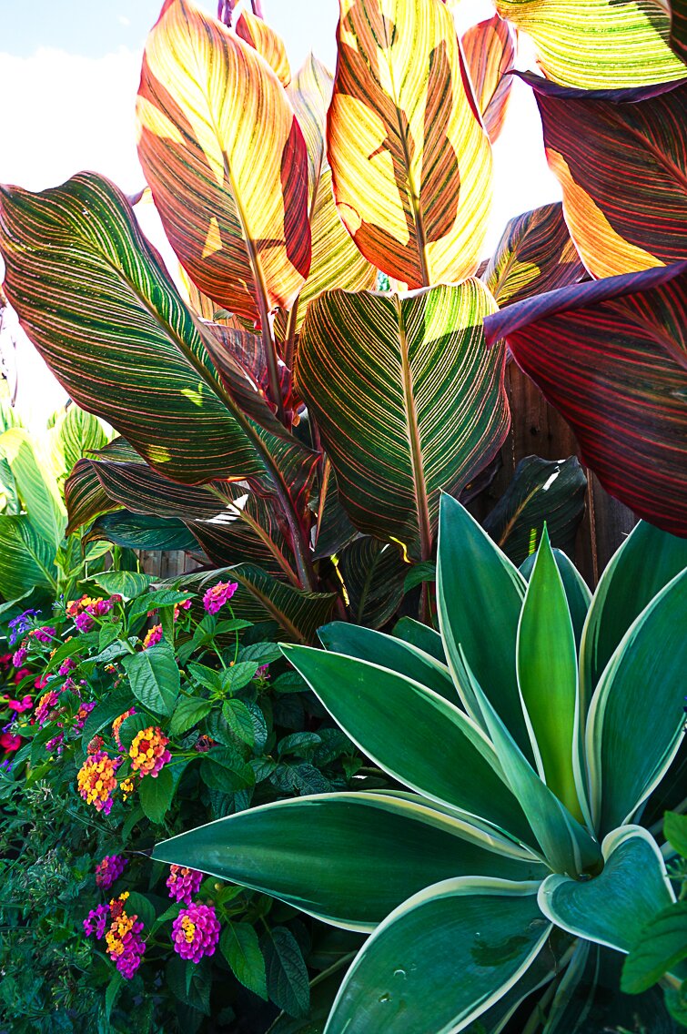 Working with plants at Lacoste Garden Centre