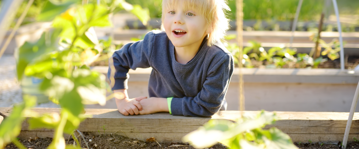 Five tips to get kids gardening Five tips to get kids gardening