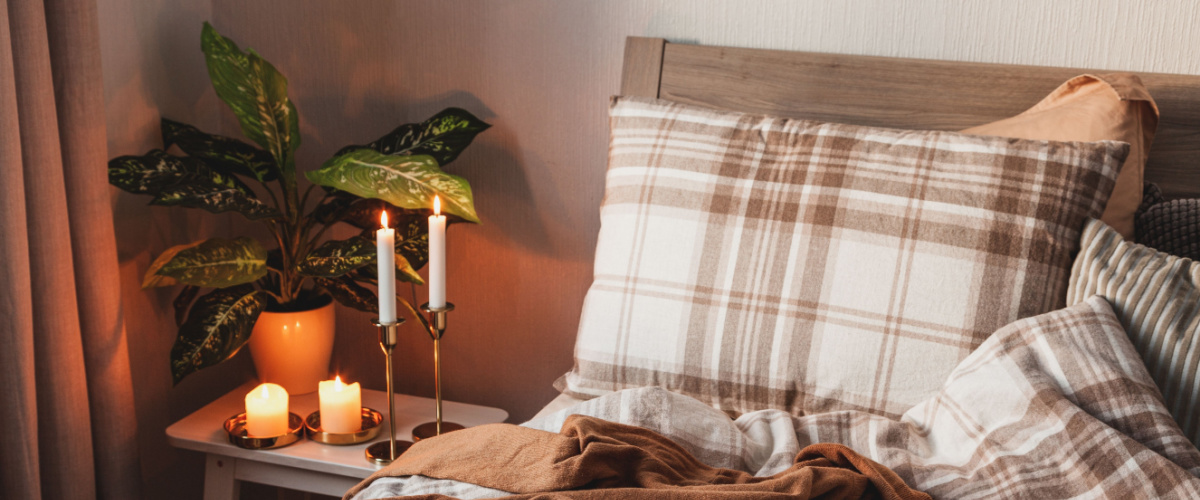 Make your house extra cozy with colourful houseplants Make your house extra cozy with colourful houseplants